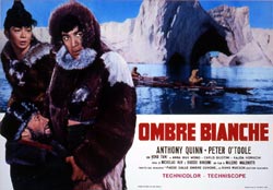 OMBRE BIANCHE